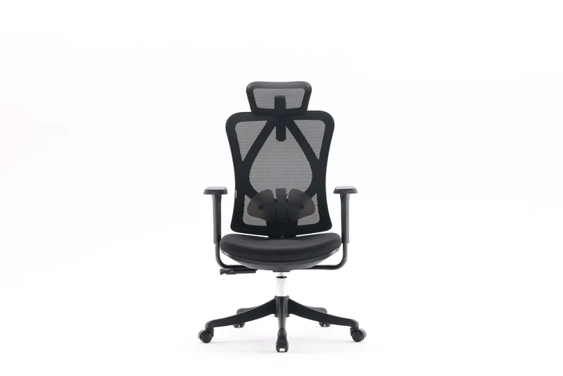 Sihoo M18 Pro Ergonomic Office Chair Mesh (Black)