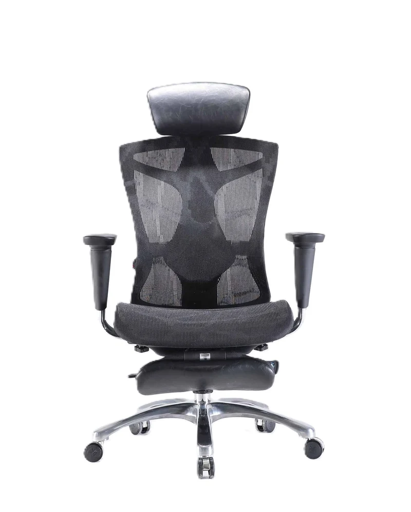 Sihoo V1 Ergonomic Office Chair