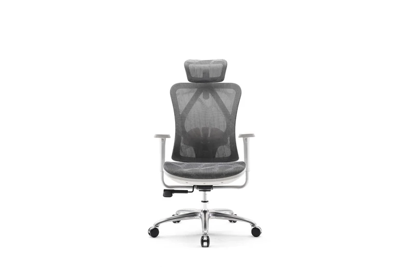 Sihoo M57 Pro Ergonomic Office Chair Mesh (Grey)