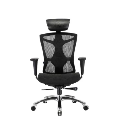 Sihoo V1 Ergonomic Office Chair (Black)