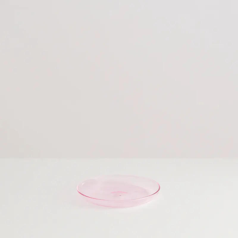 The Everything Plate | Pink