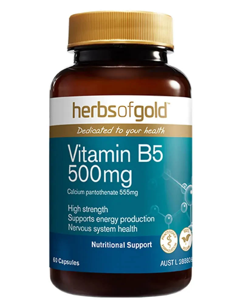 Vitamin B5 500mg by Herbs of Gold