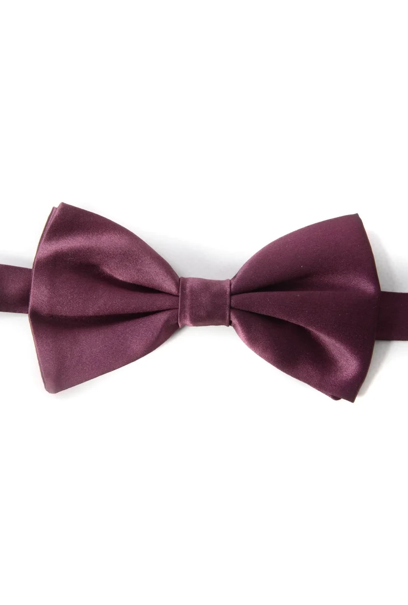 Dolce & Gabbana Men Bow Tie