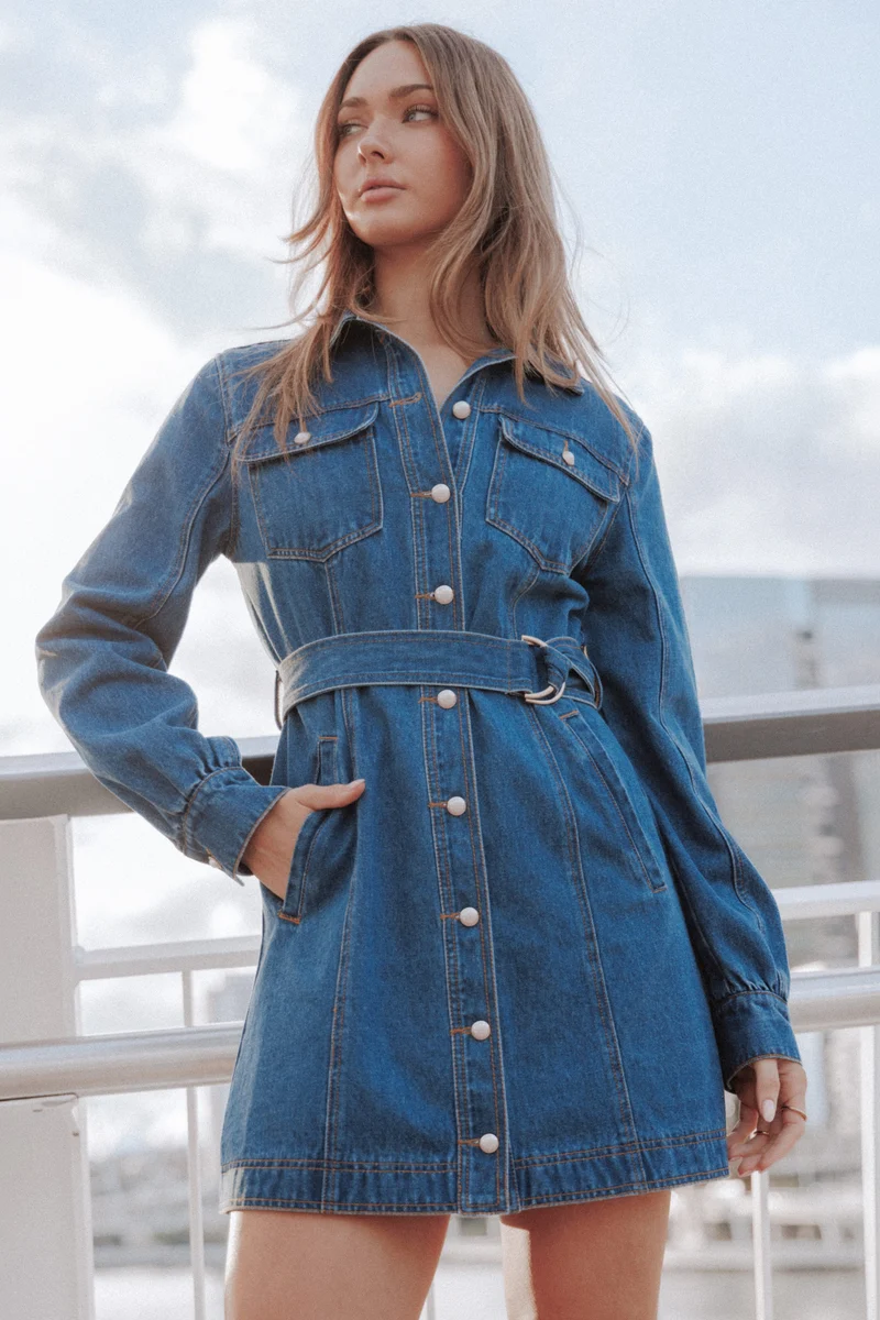 Robina Long Sleeve Mini Dress - Indigo Denim