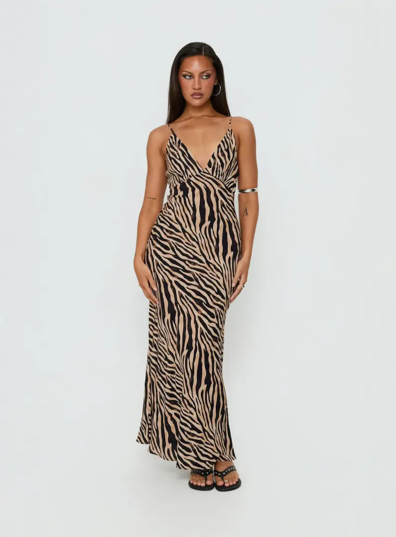Cherilynn V Neck Maxi Dress Zebra