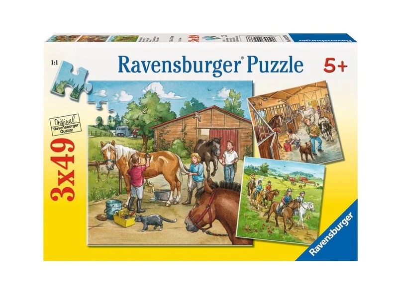 Ravensburger A Day With Horses Puzzle 3X49 Piece